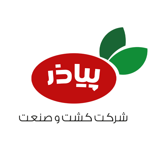 پیازر